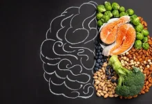غذاهای موثر بر تقویت بهبود عملکرد مغز و حافظه