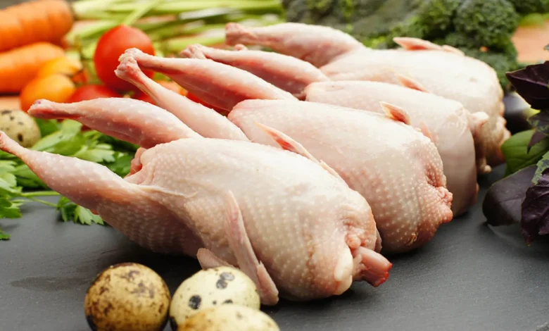 گوشت پرندگان منبع پروتئین کم چرب
